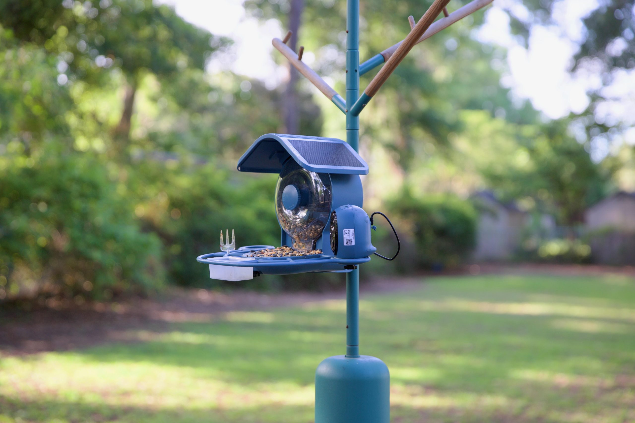 This smart bird feeder captures more of my backyard drama